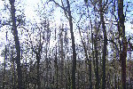 dsc02043