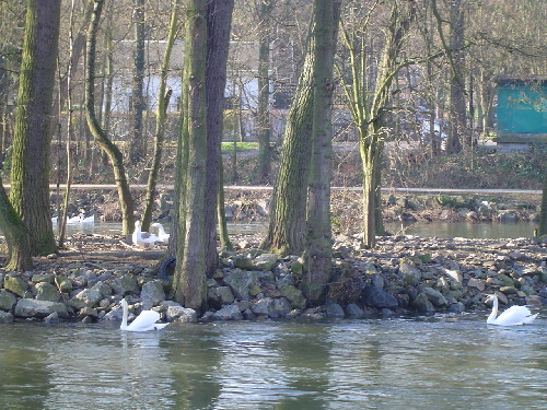 dsc02045