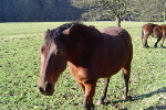 dsc02065