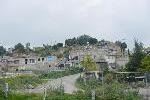 Imagen 191