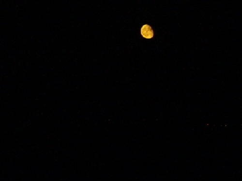 dsc00626